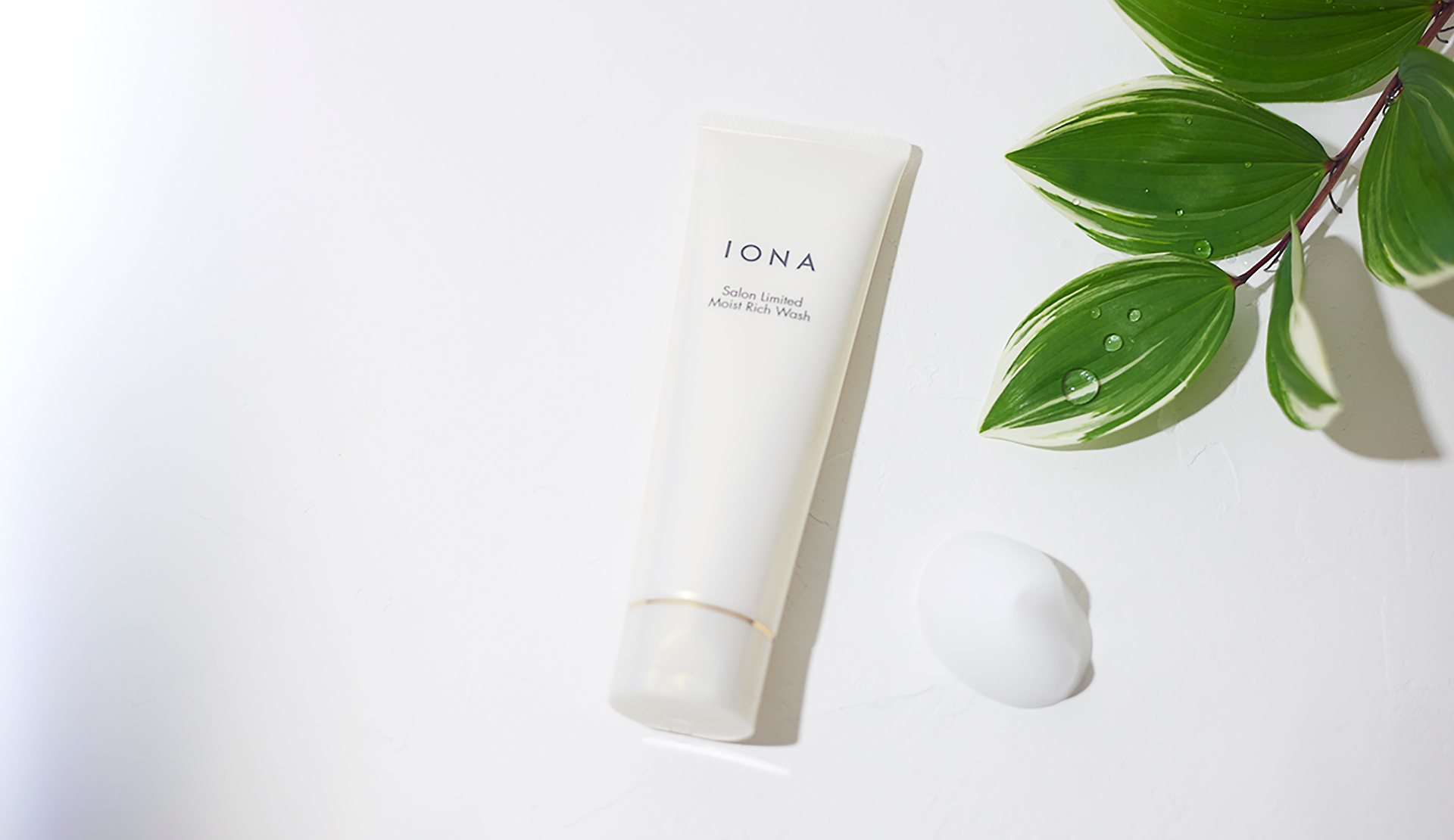 IONA Salon Limited | IONA