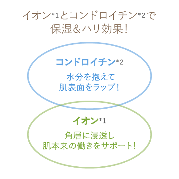 イオン*1とコンドロイチン*2で保湿&ハリ効果!