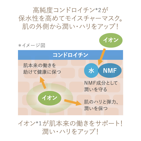 高純度コンドロイチン*2が保水性を高めてモイスチャーマスク。肌の外側から潤い・ハリをアップ!　イオン*1が肌本来の働きをサポート!